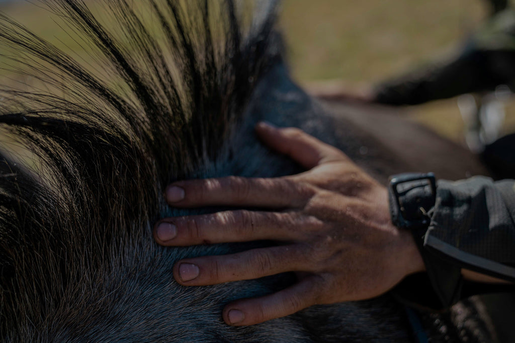 GY6 Got Your Six Self Filming System – bowhuntingonly