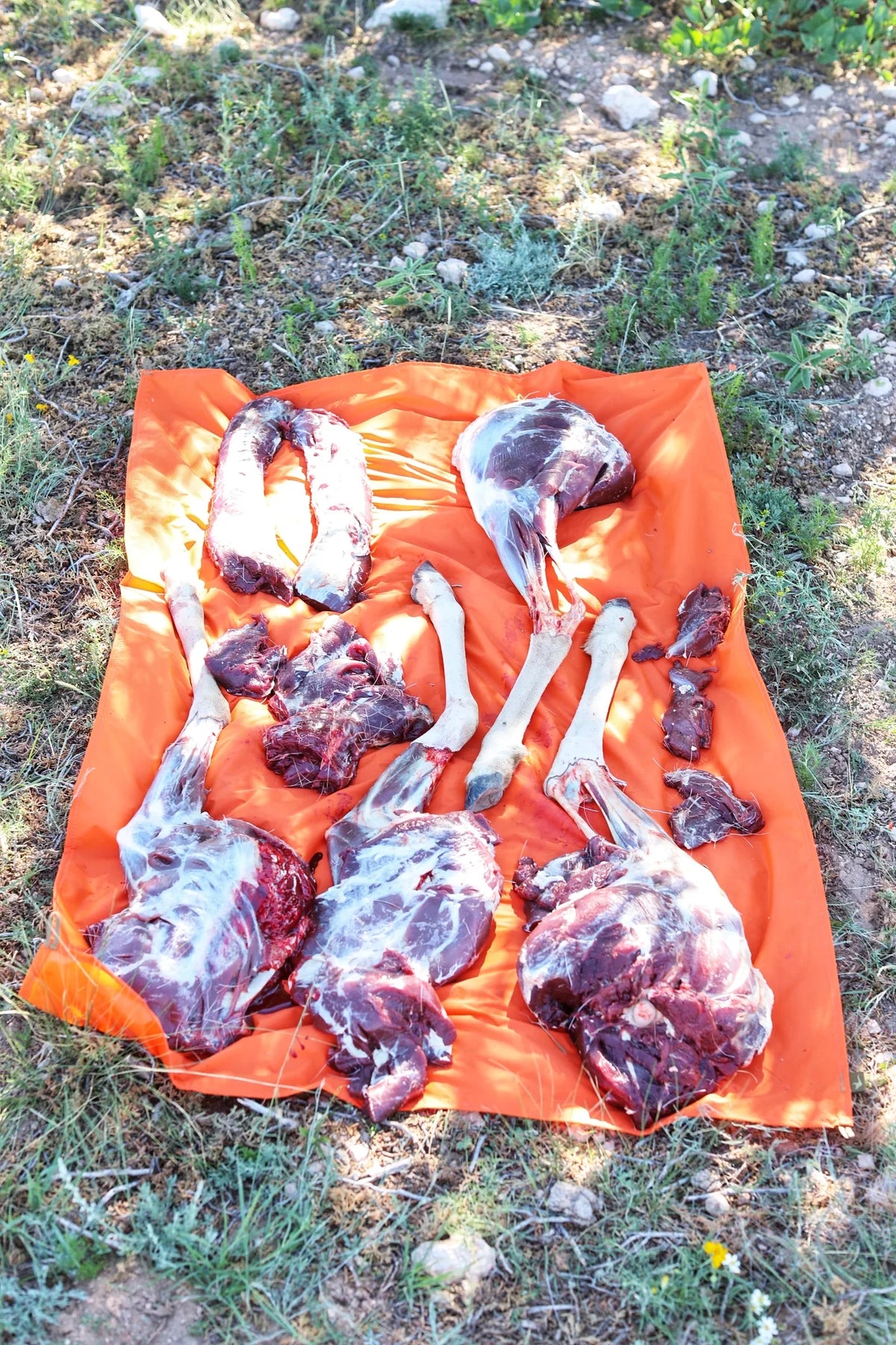 Marsupial Gear - Meat Tarp